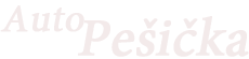 Primary Raster logo
